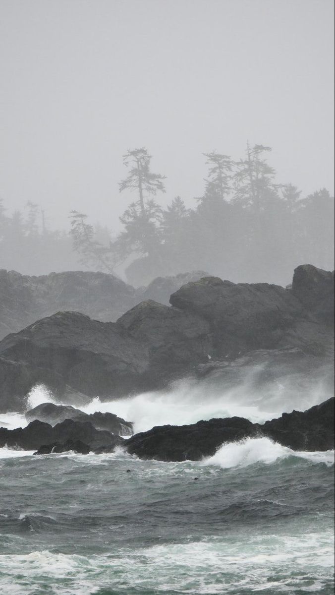 Storm Gatherings