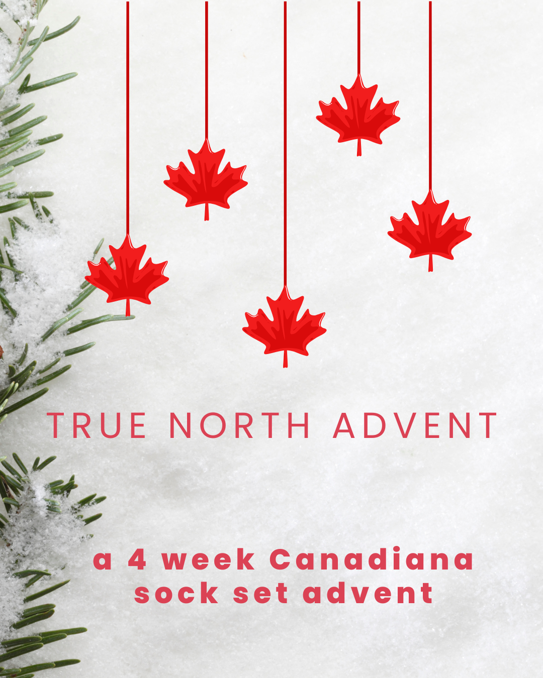 True North Advent