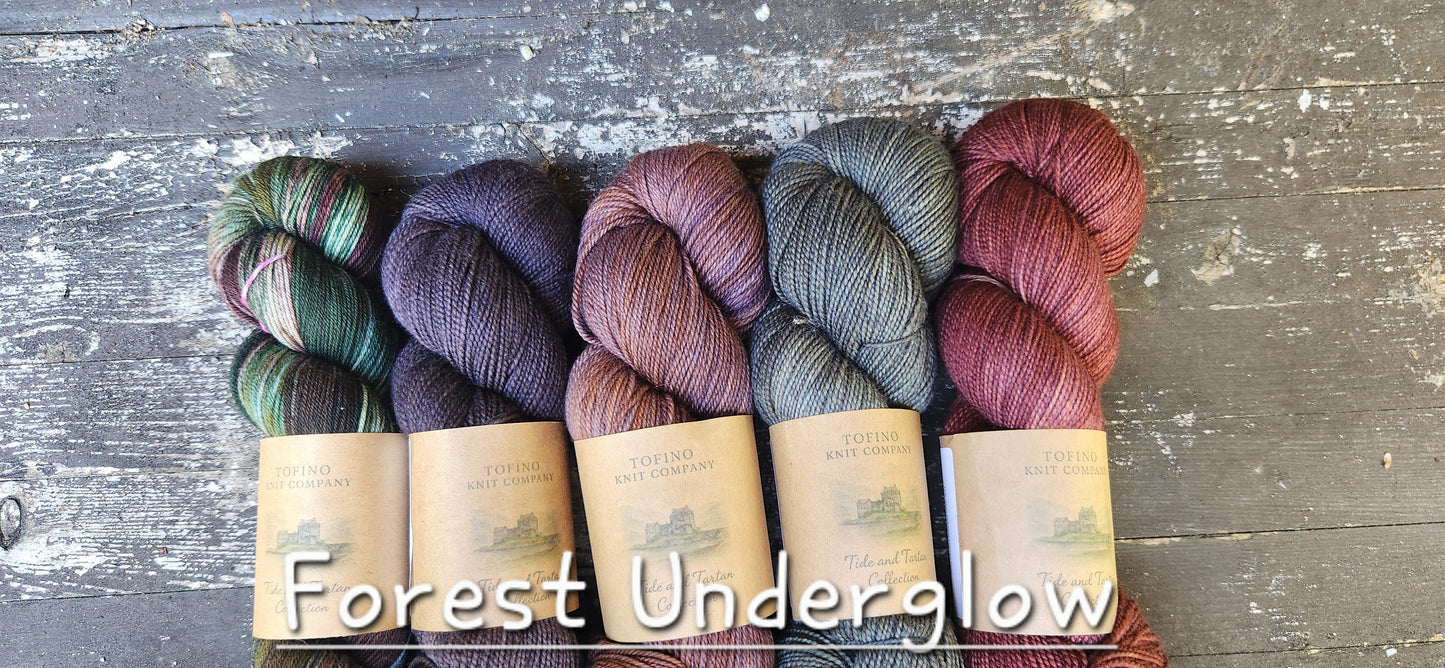 Tide and Tartan 5 Skein Kits