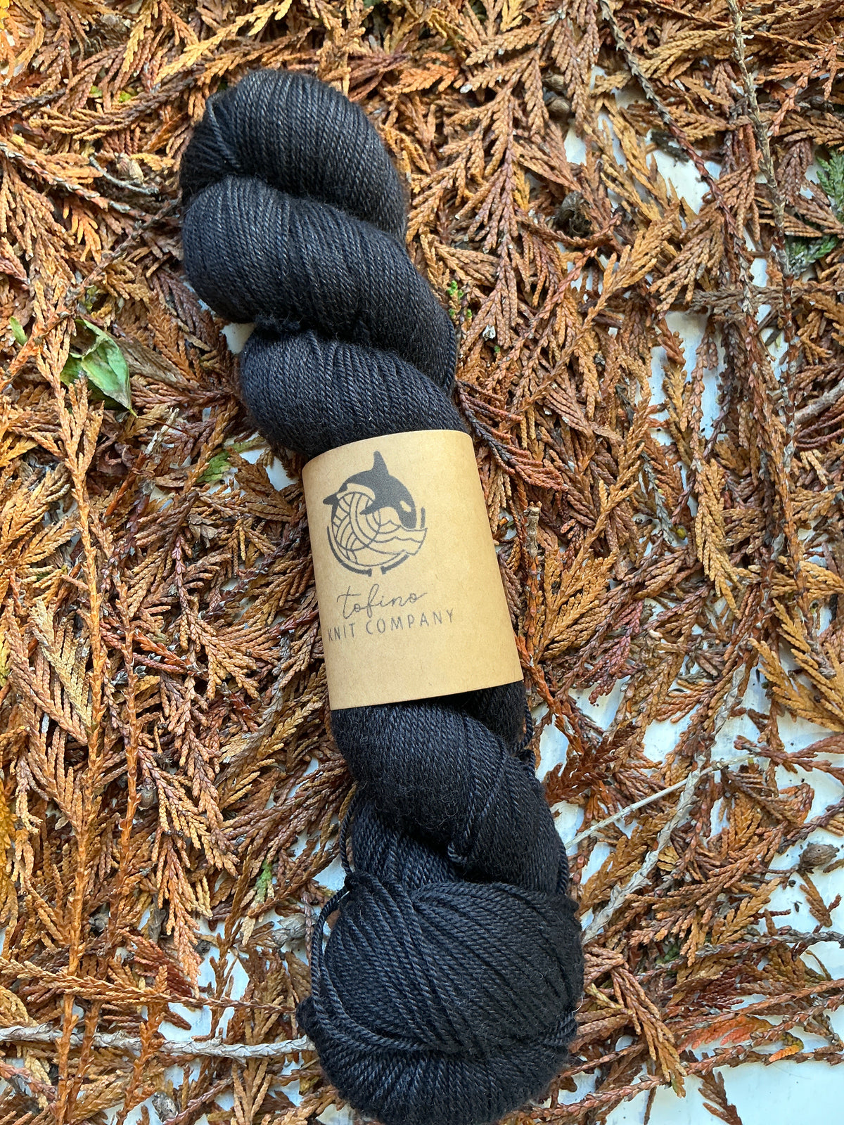 Black Bear