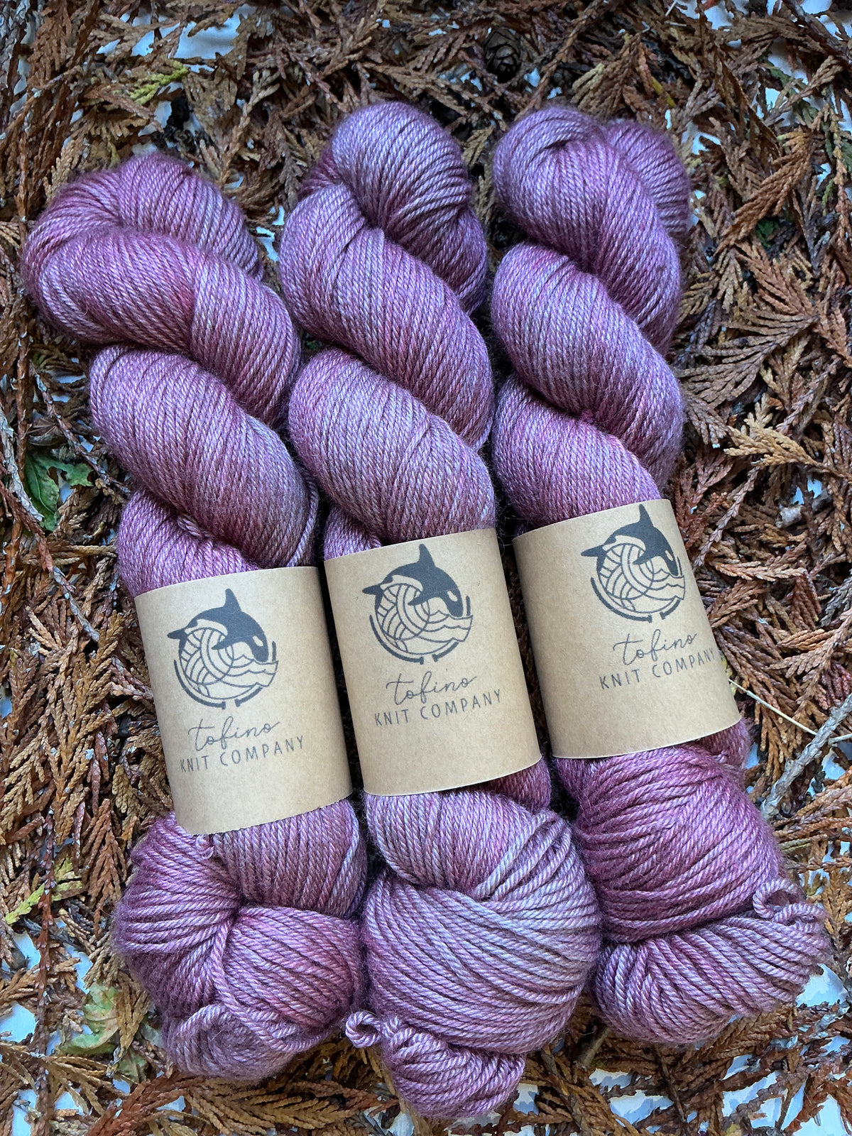 Coastal Salmonberry
