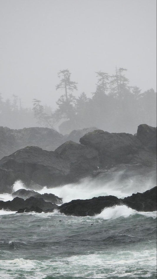 Storm Gatherings