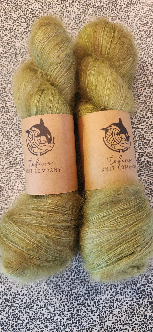 Lichen and Lace