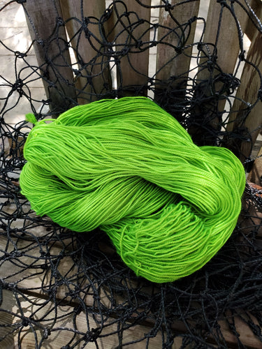lime wedge